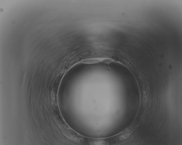 X0000053120173200507181847