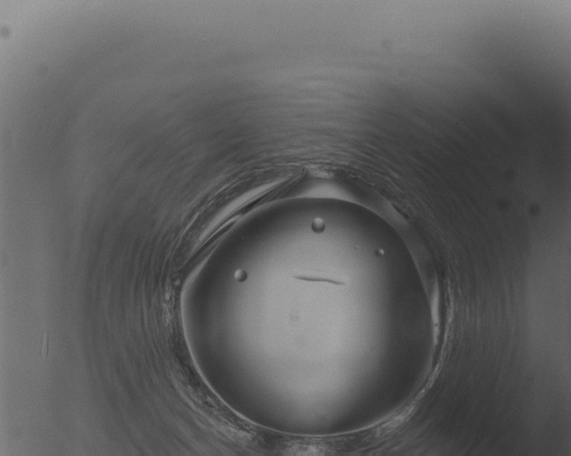 X0000053120174200507181847