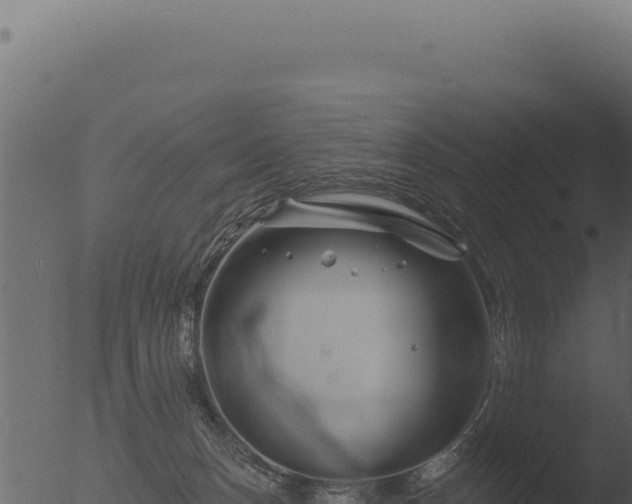 X0000053120175200507181847