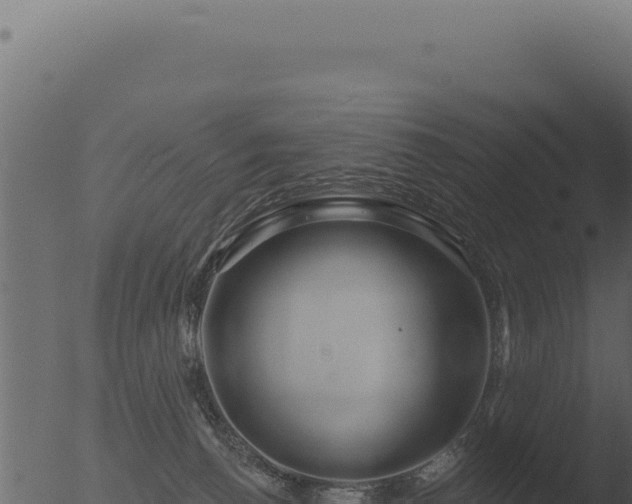 X0000053120176200507181847