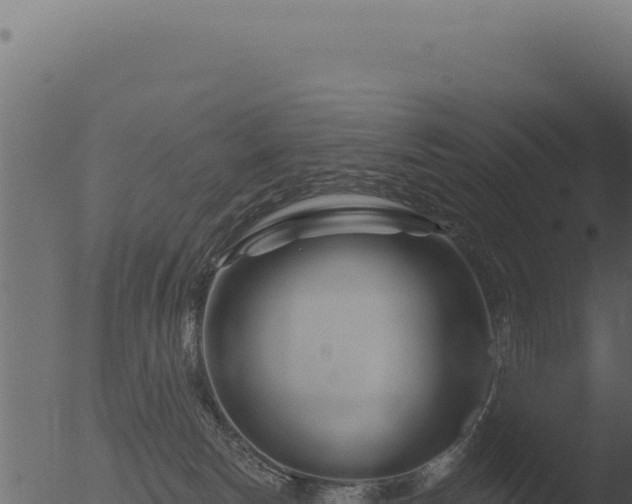 X0000053120178200507181847