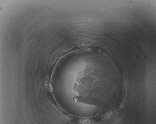 X0000053120181200507181847