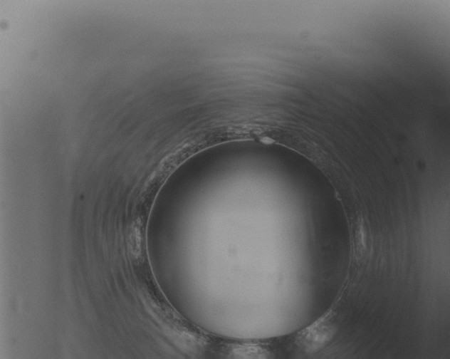 X0000053120183200507181847