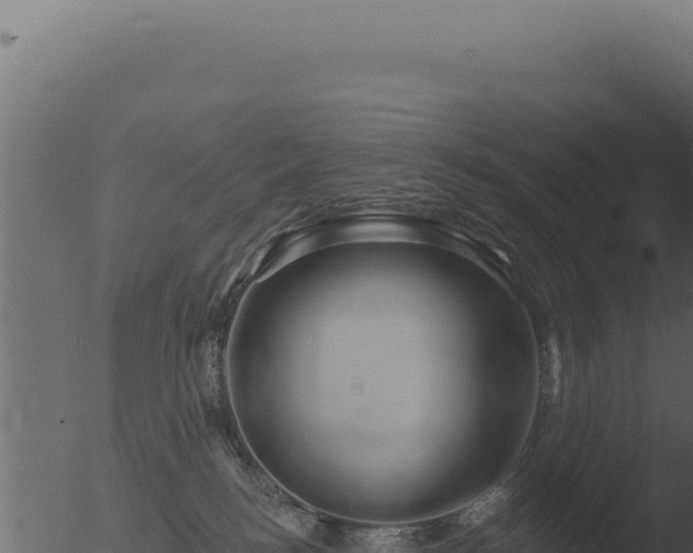 X0000053120184200507181847