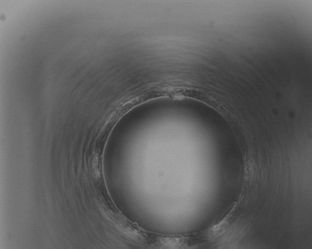 X0000053120187200507181847