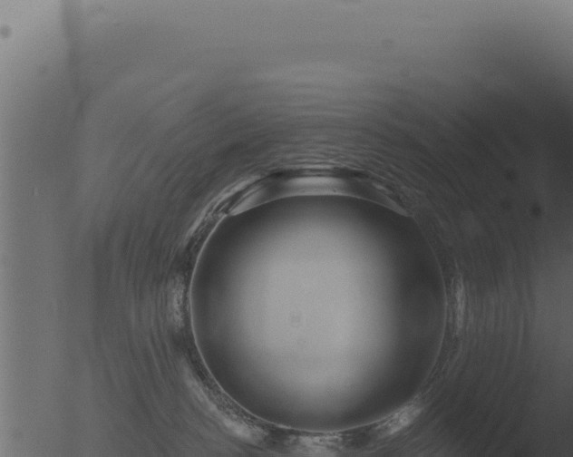 X0000053120188200507181847