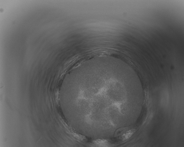 X0000053120189200507181847