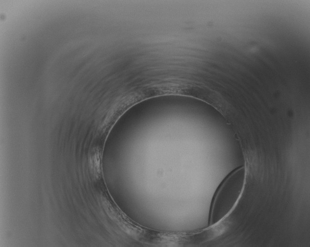 X0000053120190200507181847