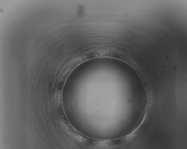 X0000053120191200507181847