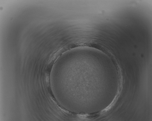 X0000053120192200507181847