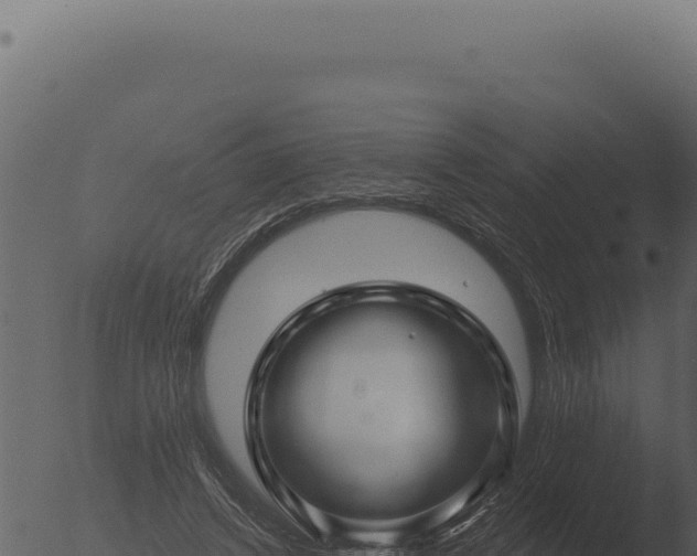 X0000053120448200507181841