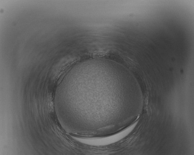 X0000053121252200507181828