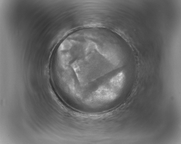 X0000053120002200507251735