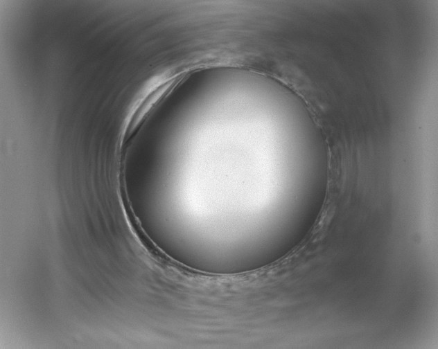 X0000053120003200507251735