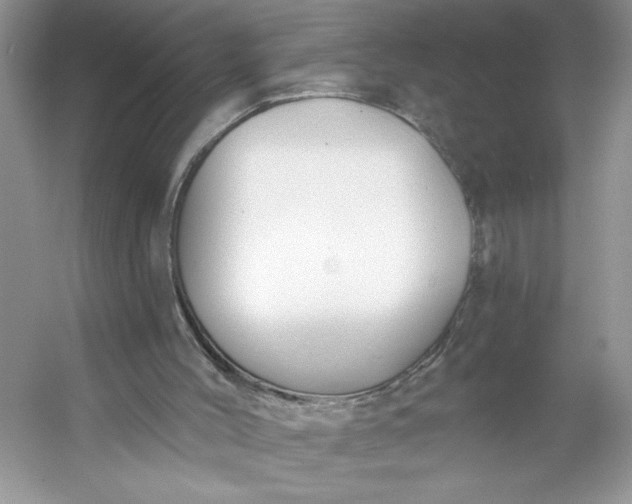 X0000053120004200507251735