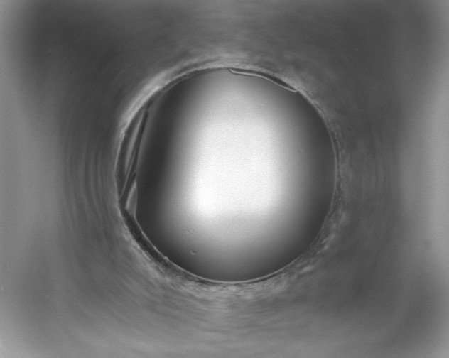 X0000053120007200507251735