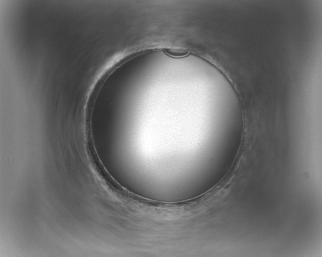 X0000053120008200507251735