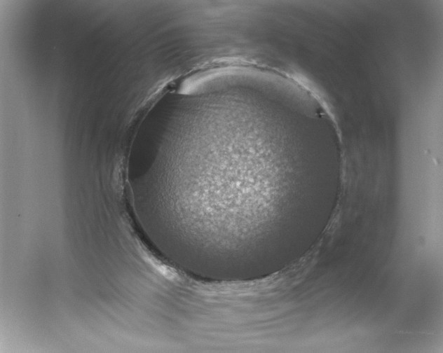 X0000053120009200507251735