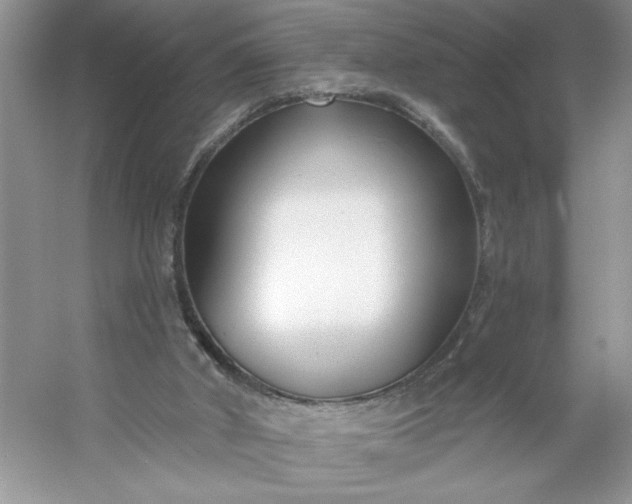 X0000053120010200507251735