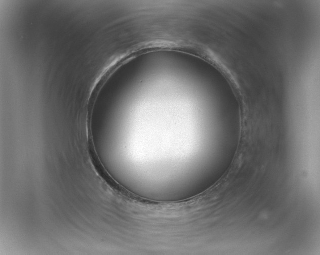 X0000053120011200507251735