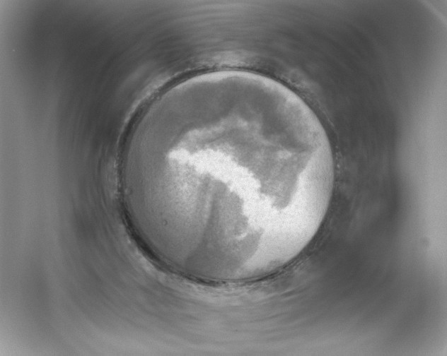 X0000053120012200507251735