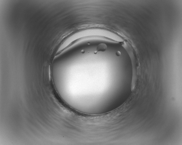 X0000053120013200507251735