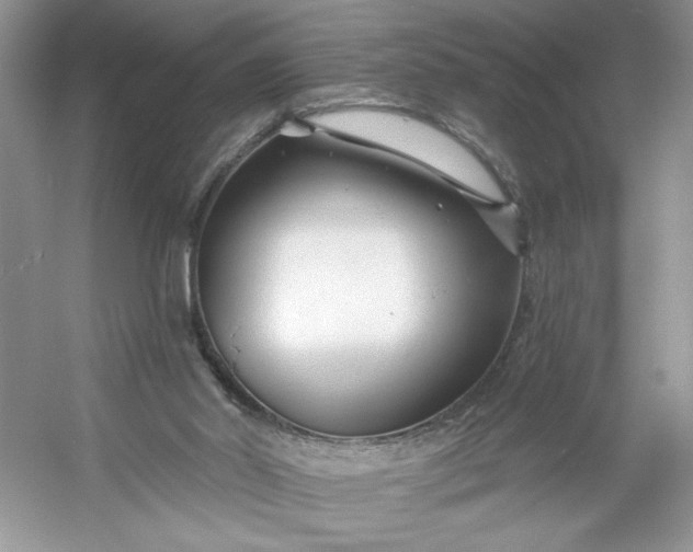 X0000053120014200507251735