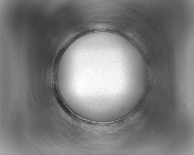 X0000053120016200507251735