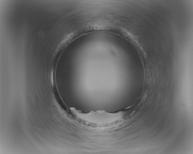 X0000053120019200507251735