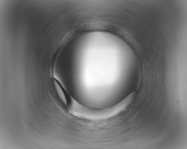 X0000053120021200507251735