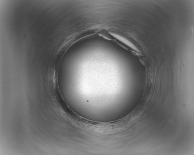 X0000053120024200507251735