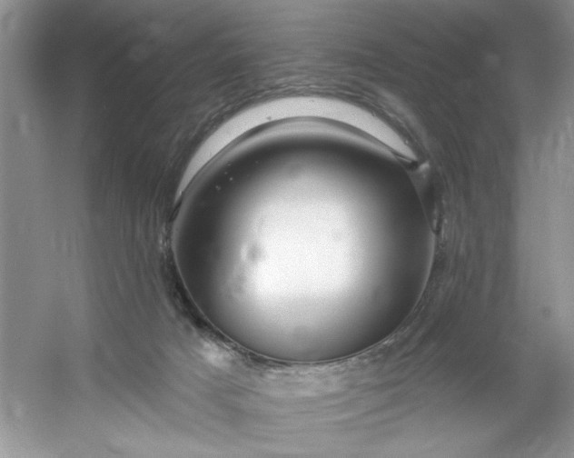 X0000053120025200507251735