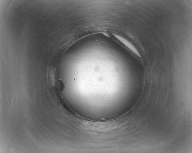 X0000053120026200507251735