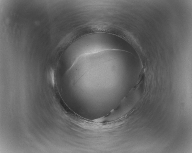 X0000053120027200507251735