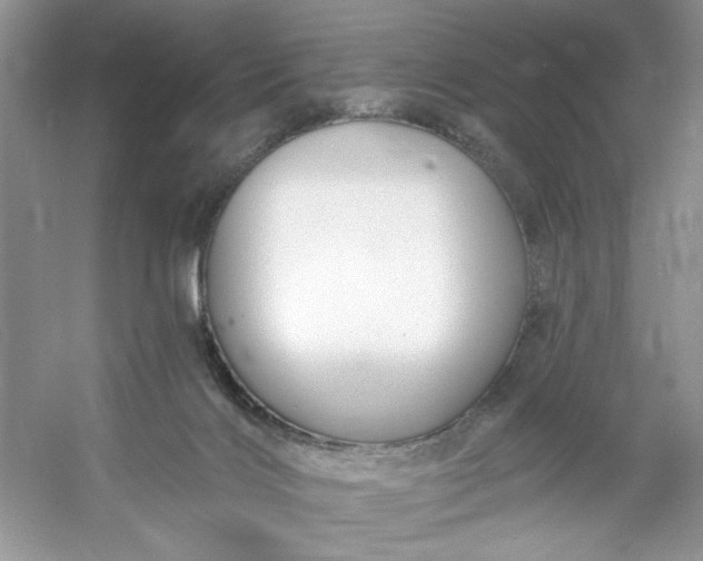 X0000053120028200507251735