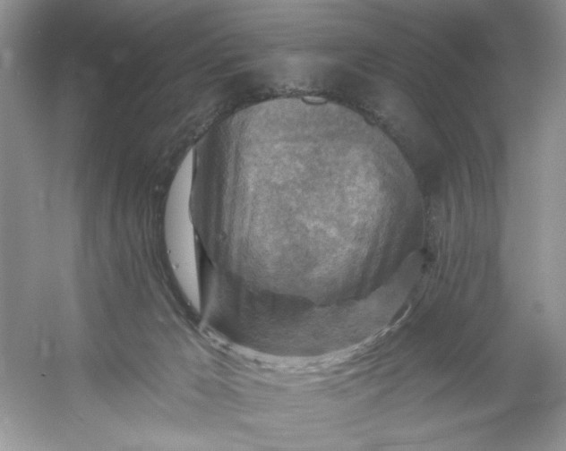 X0000053120029200507251735