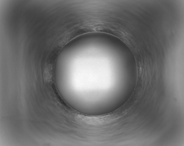 X0000053120030200507251735