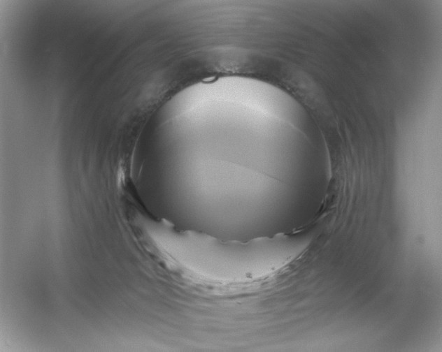 X0000053120031200507251735