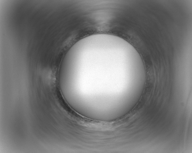 X0000053120032200507251735