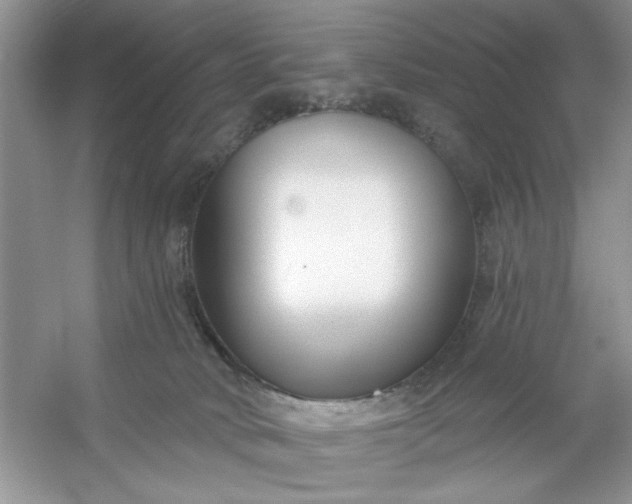 X0000053120034200507251735