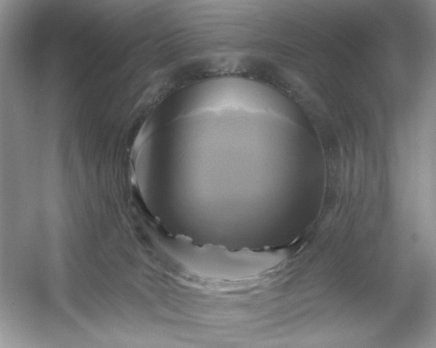 X0000053120035200507251735