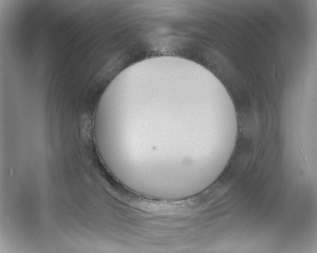 X0000053120036200507251735