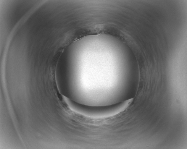 X0000053120037200507251735