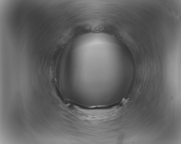 X0000053120039200507251735