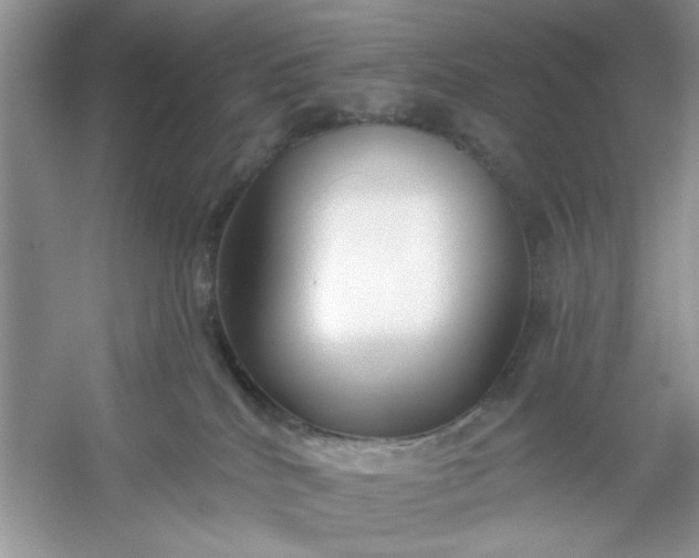 X0000053120040200507251735