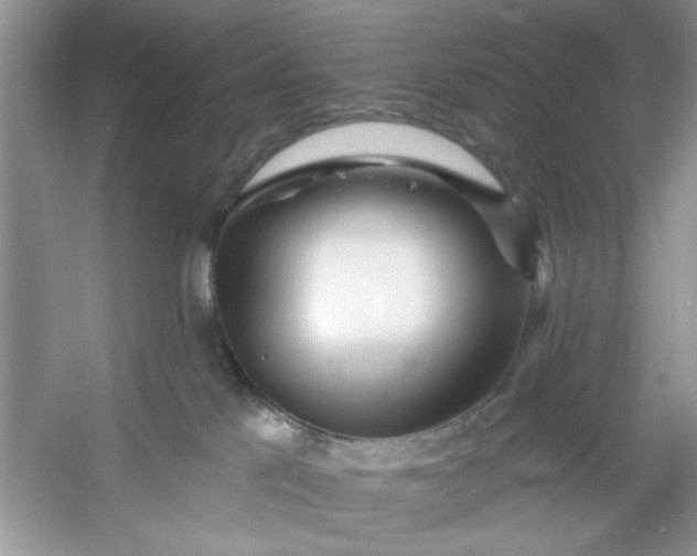 X0000053120041200507251735