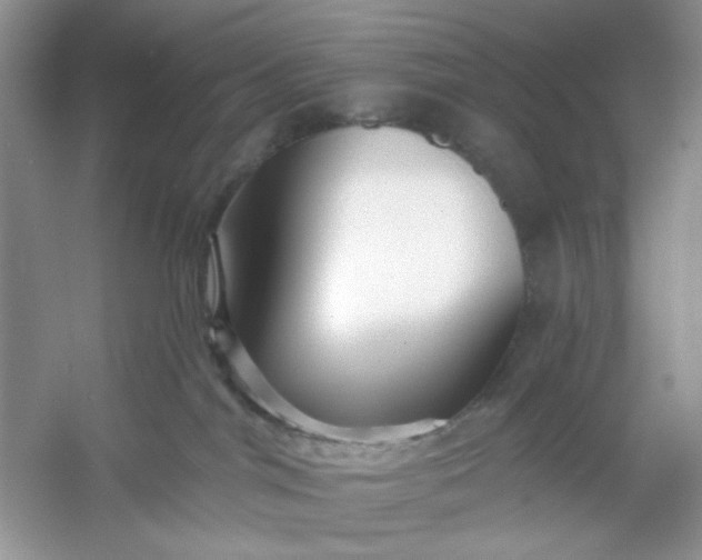 X0000053120044200507251735