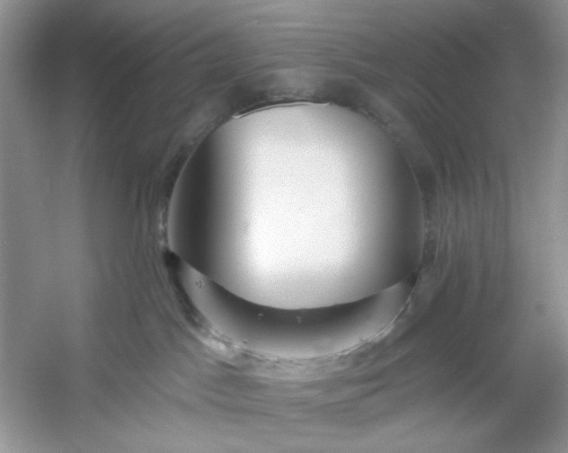 X0000053120045200507251734