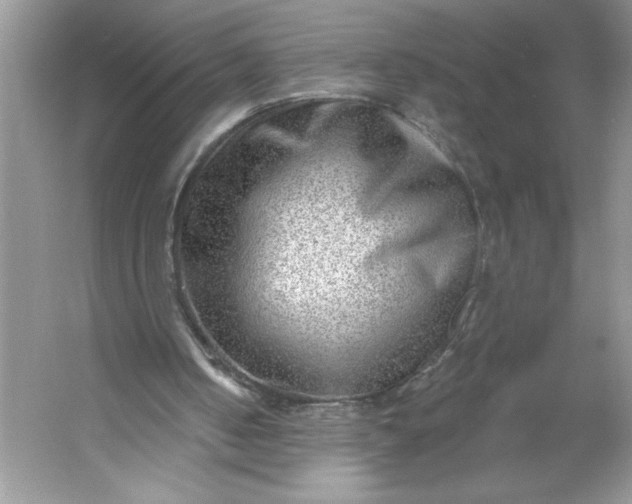 X0000053120050200507251734