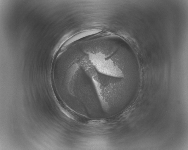 X0000053120051200507251734